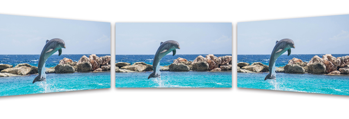 1573110001686179.jpg -室內_14.jpg